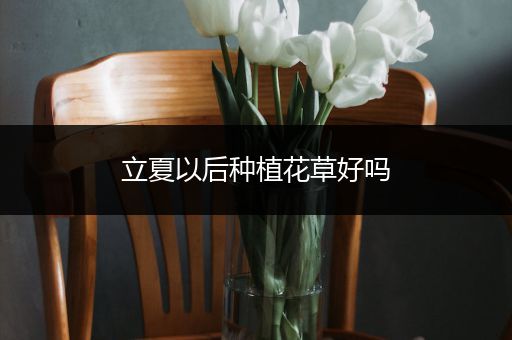 立夏以后种植花草好吗