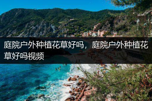 庭院户外种植花草好吗，庭院户外种植花草好吗视频