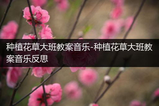 种植花草大班教案音乐-种植花草大班教案音乐反思