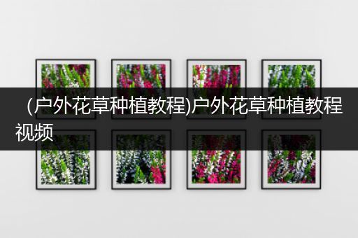 （户外花草种植教程)户外花草种植教程视频