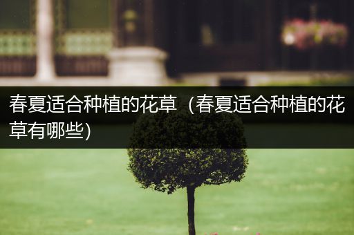 春夏适合种植的花草（春夏适合种植的花草有哪些）