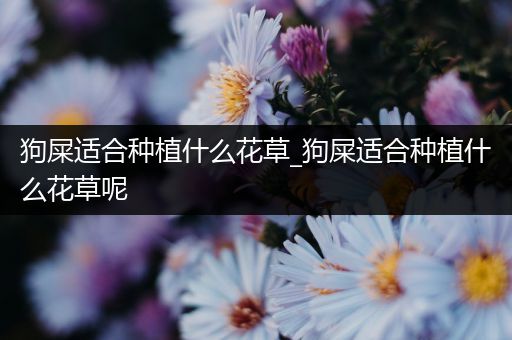 狗屎适合种植什么花草_狗屎适合种植什么花草呢