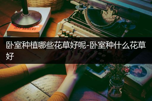 卧室种植哪些花草好呢-卧室种什么花草好