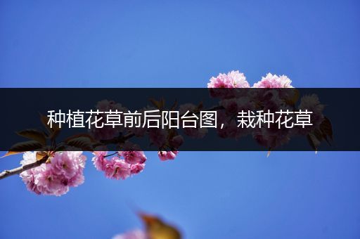 种植花草前后阳台图，栽种花草