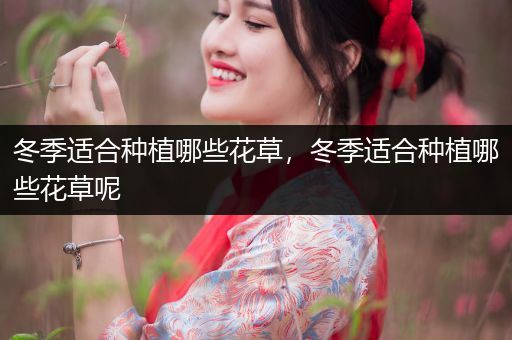 冬季适合种植哪些花草，冬季适合种植哪些花草呢