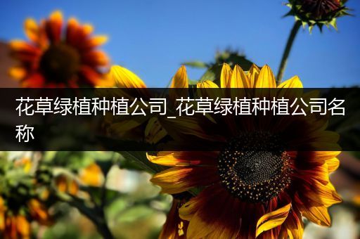 花草绿植种植公司_花草绿植种植公司名称