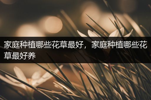 家庭种植哪些花草最好，家庭种植哪些花草最好养