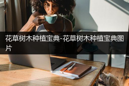 花草树木种植宝典-花草树木种植宝典图片