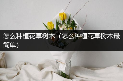 怎么种植花草树木（怎么种植花草树木最简单）