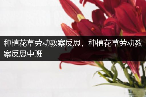 种植花草劳动教案反思，种植花草劳动教案反思中班