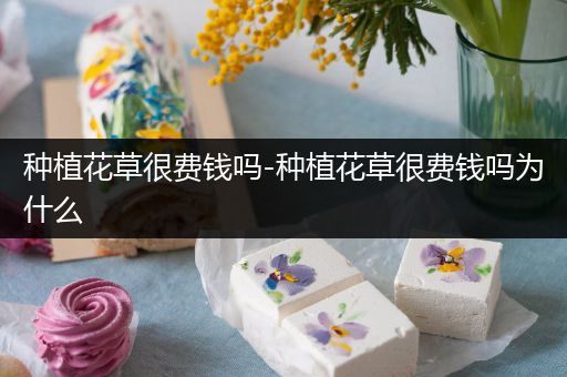 种植花草很费钱吗-种植花草很费钱吗为什么