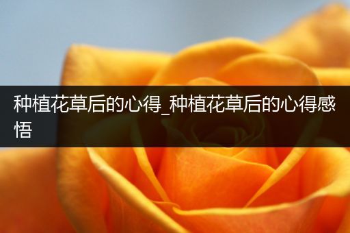 种植花草后的心得_种植花草后的心得感悟