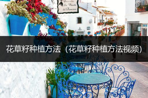花草籽种植方法（花草籽种植方法视频）
