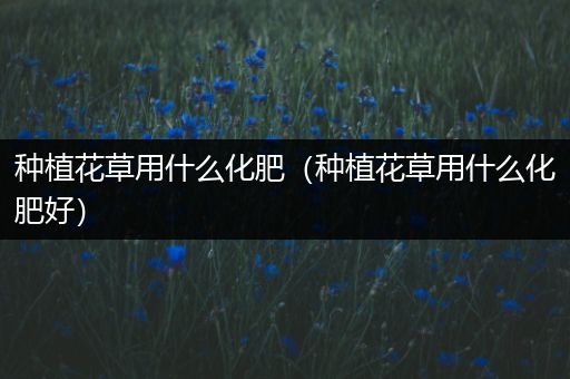 种植花草用什么化肥（种植花草用什么化肥好）