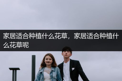 家居适合种植什么花草，家居适合种植什么花草呢
