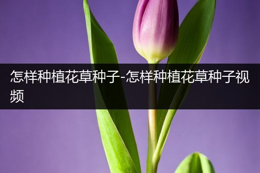 怎样种植花草种子-怎样种植花草种子视频