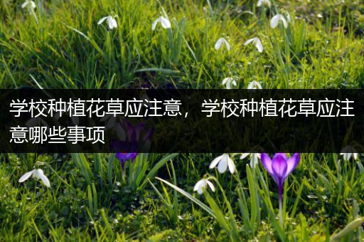 学校种植花草应注意，学校种植花草应注意哪些事项