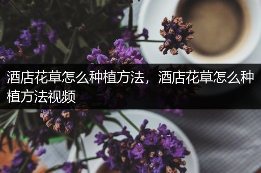 酒店花草怎么种植方法，酒店花草怎么种植方法视频