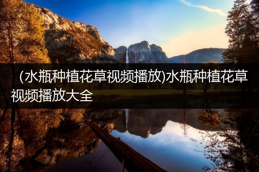 （水瓶种植花草视频播放)水瓶种植花草视频播放大全