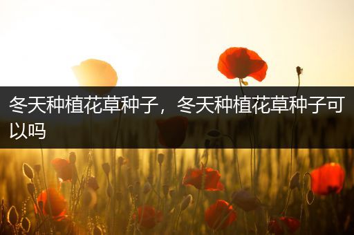 冬天种植花草种子，冬天种植花草种子可以吗