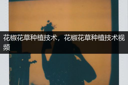 花椒花草种植技术，花椒花草种植技术视频