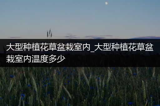大型种植花草盆栽室内_大型种植花草盆栽室内温度多少
