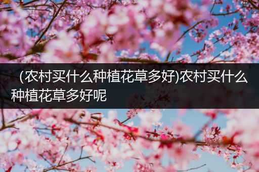 （农村买什么种植花草多好)农村买什么种植花草多好呢