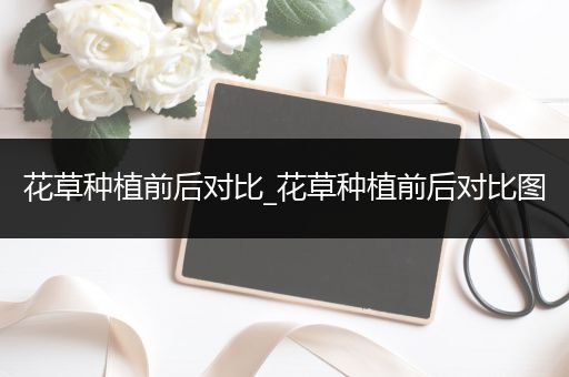花草种植前后对比_花草种植前后对比图
