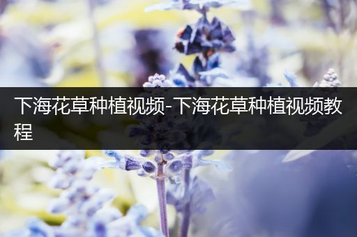 下海花草种植视频-下海花草种植视频教程