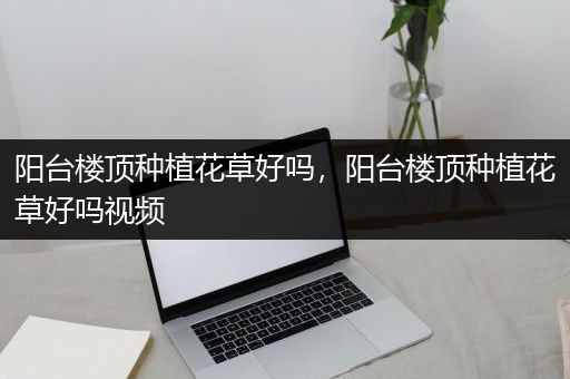 阳台楼顶种植花草好吗，阳台楼顶种植花草好吗视频