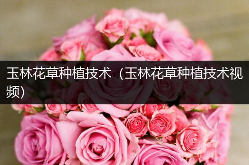 玉林花草种植技术（玉林花草种植技术视频）