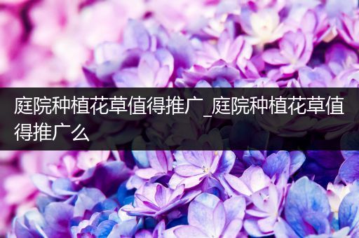 庭院种植花草值得推广_庭院种植花草值得推广么