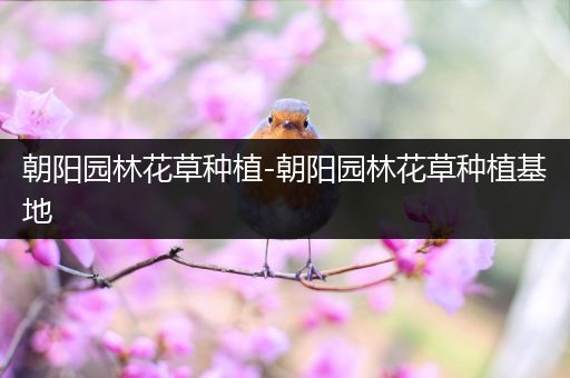 朝阳园林花草种植-朝阳园林花草种植基地