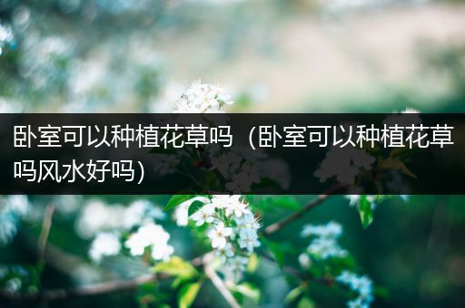 卧室可以种植花草吗（卧室可以种植花草吗风水好吗）