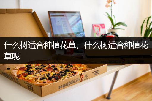 什么树适合种植花草，什么树适合种植花草呢