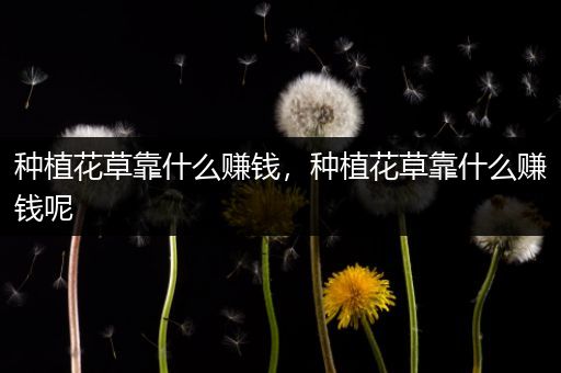 种植花草靠什么赚钱，种植花草靠什么赚钱呢