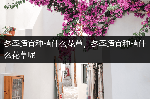 冬季适宜种植什么花草，冬季适宜种植什么花草呢