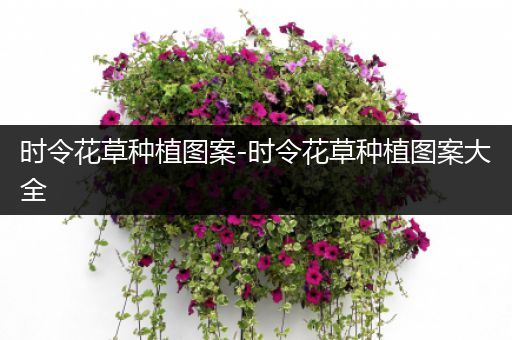 时令花草种植图案-时令花草种植图案大全