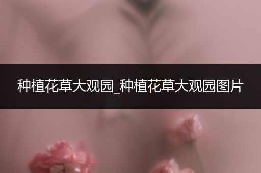 种植花草大观园_种植花草大观园图片