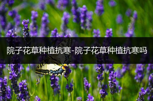 院子花草种植抗寒-院子花草种植抗寒吗