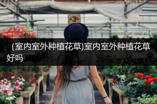 （室内室外种植花草)室内室外种植花草好吗