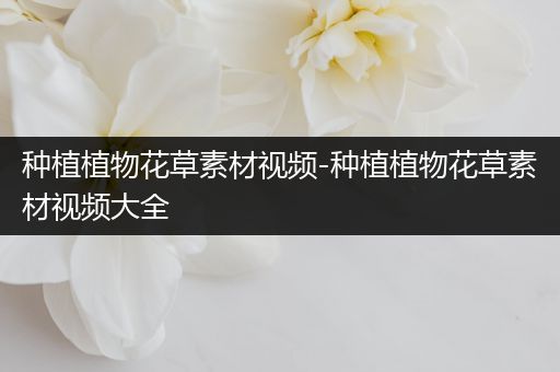 种植植物花草素材视频-种植植物花草素材视频大全