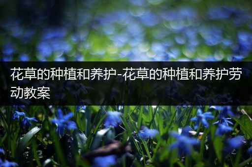花草的种植和养护-花草的种植和养护劳动教案