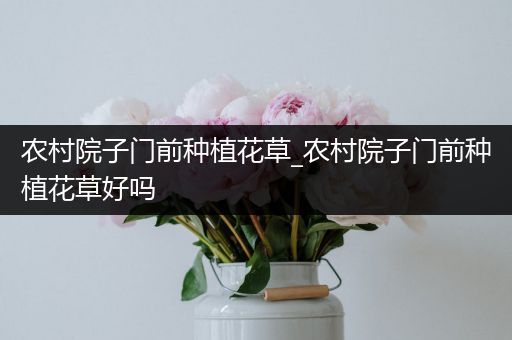 农村院子门前种植花草_农村院子门前种植花草好吗