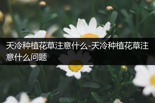 天冷种植花草注意什么-天冷种植花草注意什么问题