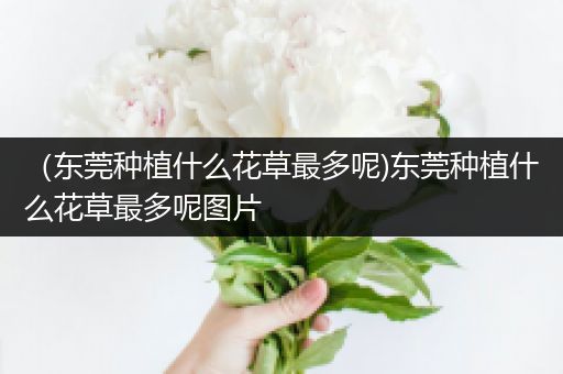 （东莞种植什么花草最多呢)东莞种植什么花草最多呢图片