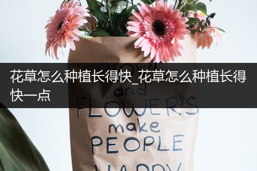 花草怎么种植长得快_花草怎么种植长得快一点