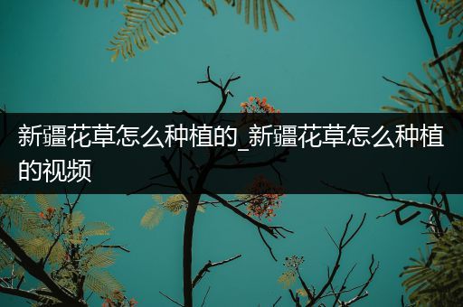 新疆花草怎么种植的_新疆花草怎么种植的视频