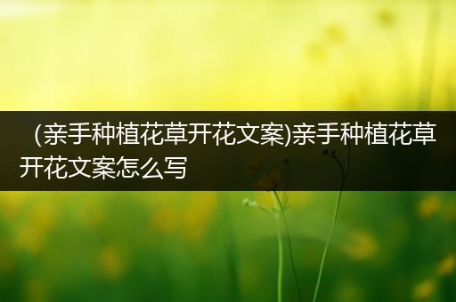 （亲手种植花草开花文案)亲手种植花草开花文案怎么写