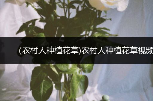 （农村人种植花草)农村人种植花草视频